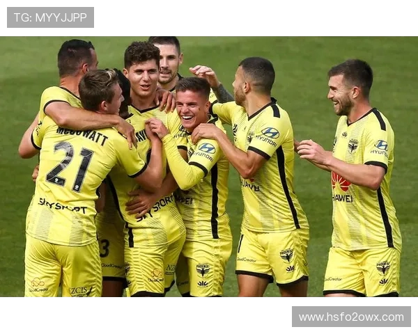 2017年西悉尼对阵惠灵顿精彩赛事回顾与分析